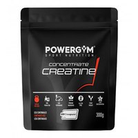 powergym-creatina-300gr-powder